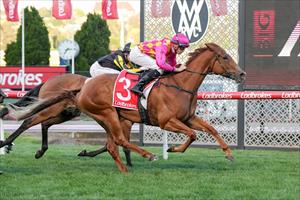 Sparkling, The Valley 1 November 2024 Sparkling, The Valley 1 November 2024